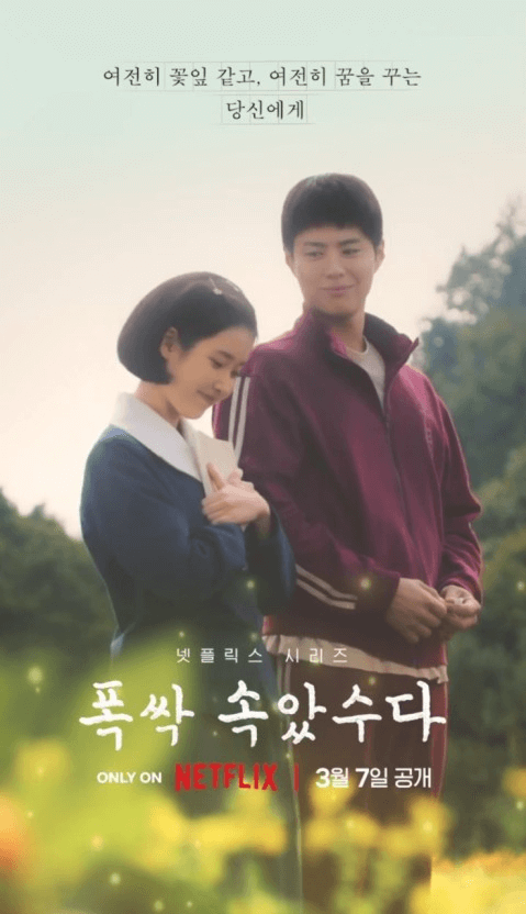 아이유 수익