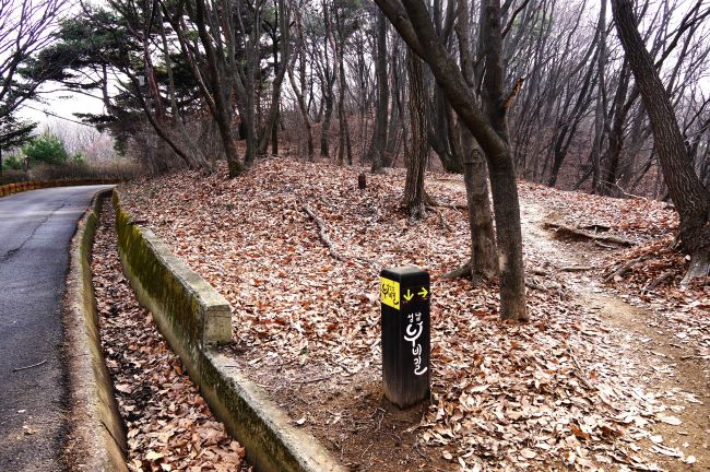 왼쪽은 아스팔트 포장 길&#44; 가운데 낙엽 쌓인 산길에 세워 놓은 성남누비길 안내 이정표&#44; 검은 바탕에 흰글씨&#44; &#44; 뒤로는 우거진 잡목&#44;