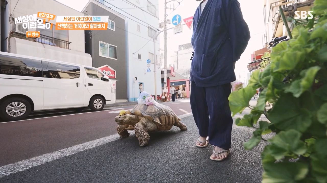 순간포착 세상에 이런일이.E1243.230827p-NEXT.mp4_20230827_173835.240.jpg