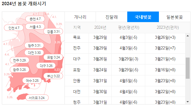 2024년-전국-벚꽃-개화시기