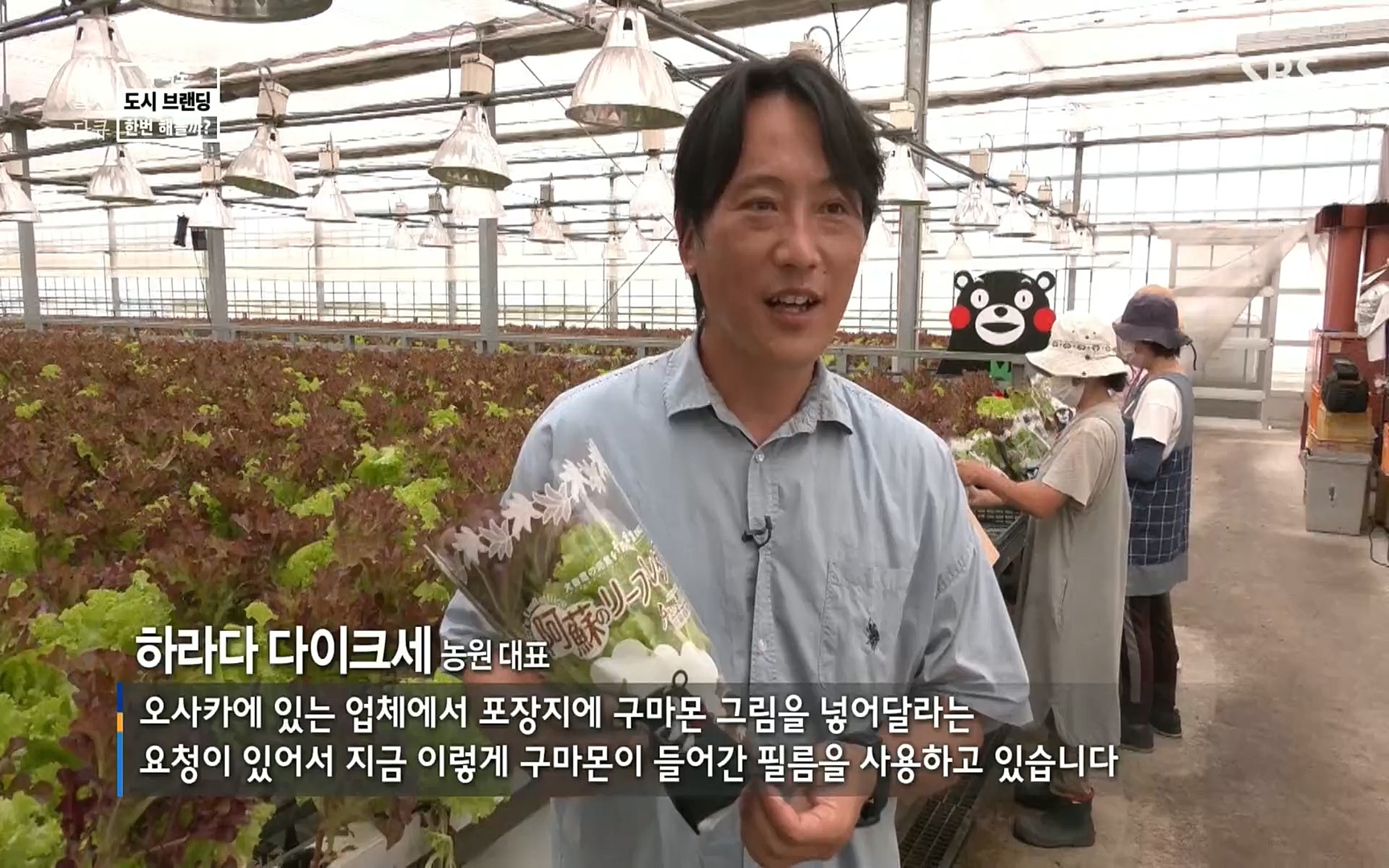 일요 특선 다큐멘터리.E287.220911p.H264-F1RST.mp4_20220912_135103.220.jpg