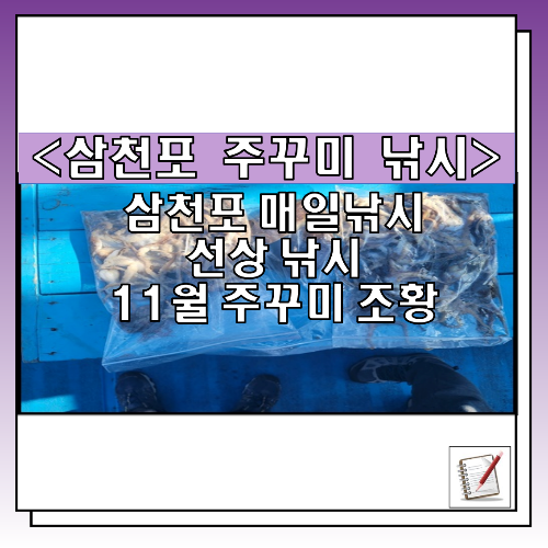 11월 삼천포 주꾸미 낚시