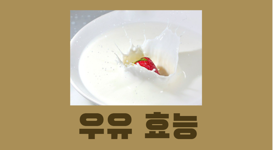  나만 모르는 우유 효능