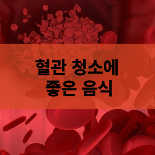  혈관청소에 좋은 음식 / 콜레스테롤 낮추는 음식