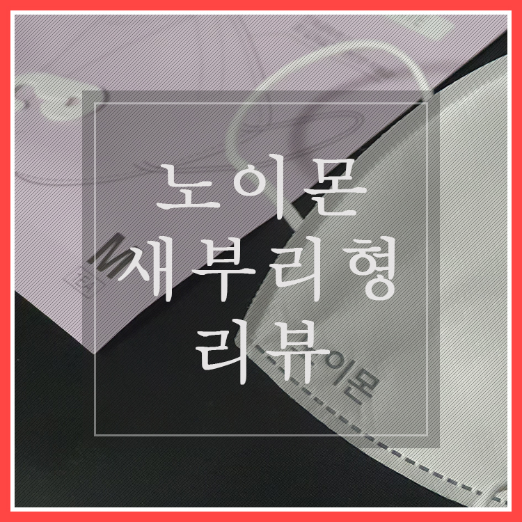  [내돈내산] 클로저 노이몬 KF94 새부리형 중형 마스크 리뷰