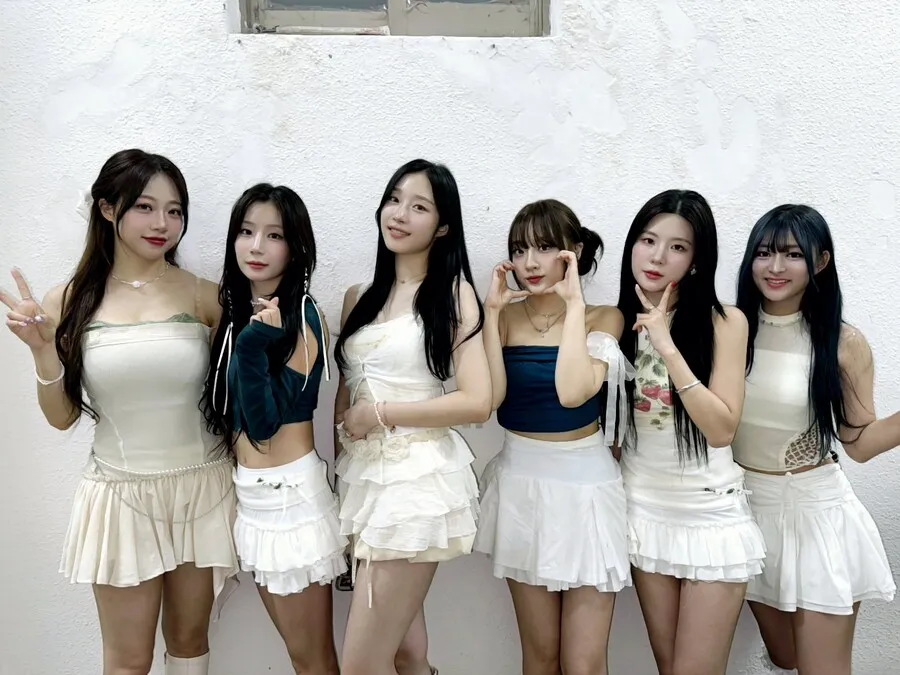시그니처 단어 기원_7