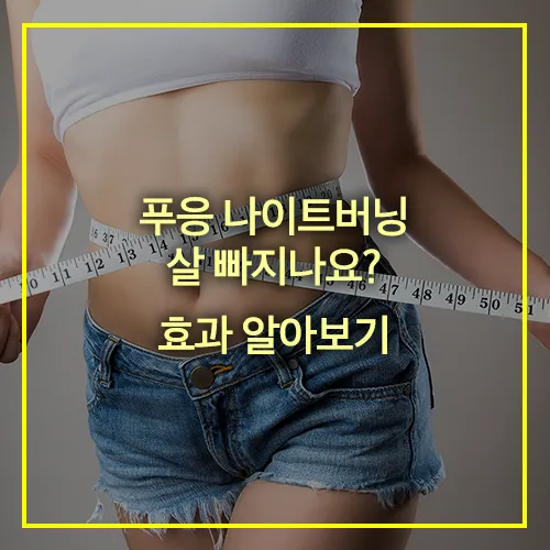 푸응 나이트버닝 다이어트 효과