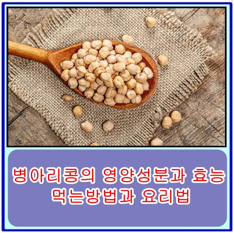  병아리콩의 영양성분과 효능, 먹는방법과 요리법