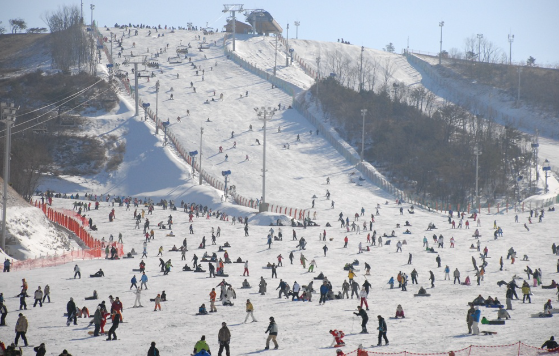 2024 2025 전국 스키장 개장일 할인정보 총정리