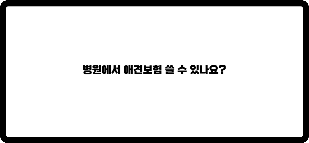 애견보험 추천