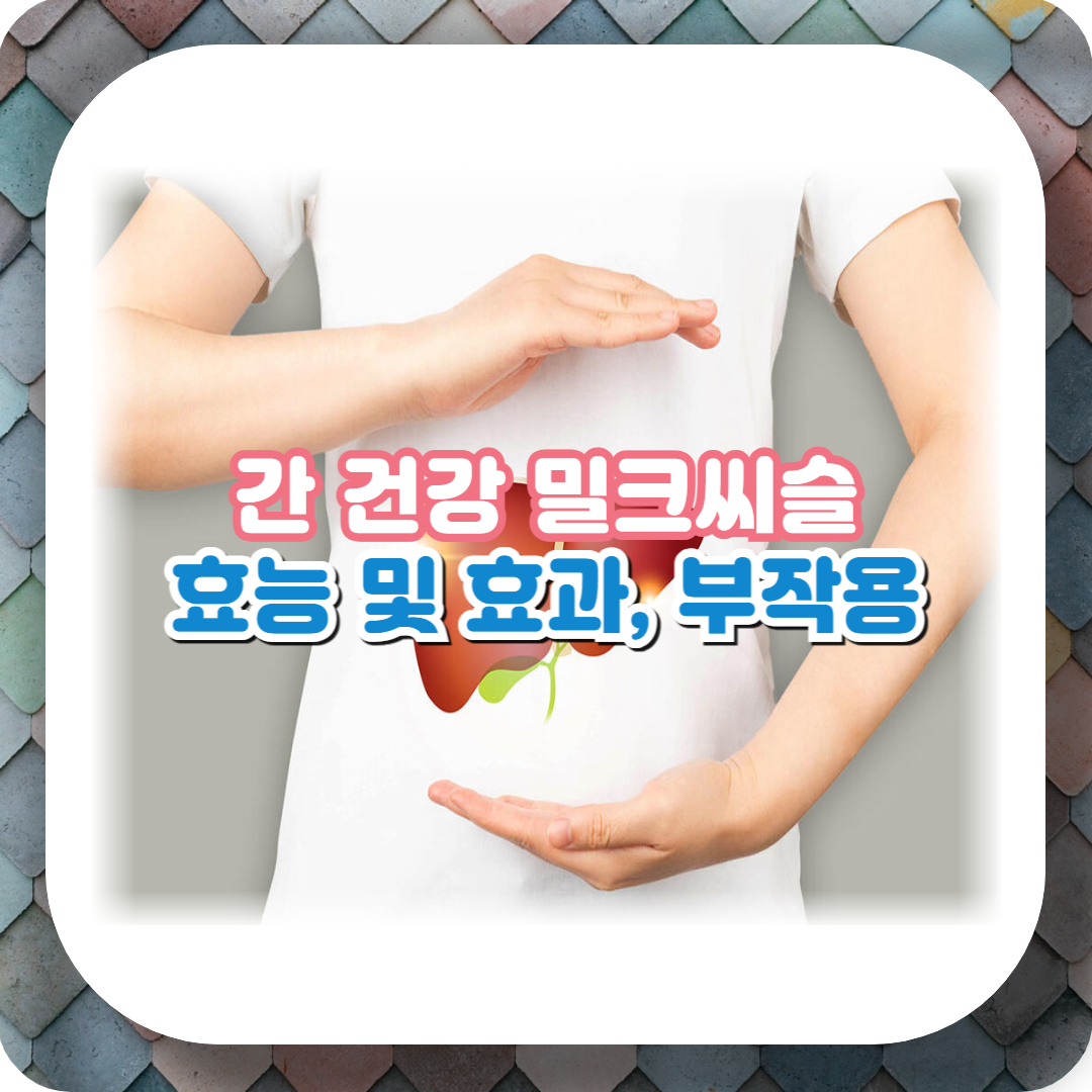  밀크씨슬의 효능 및 효과, 부작용: 알아두어야 할 모든 것