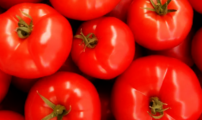 article thumbnail image