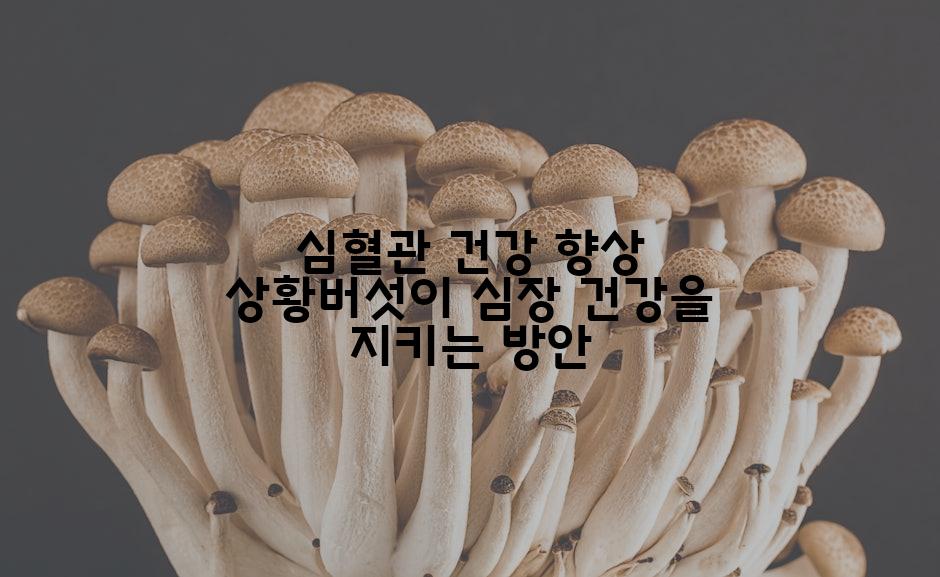 심혈관 건강 향상 상황버섯이 심장 건강을 지키는 방안