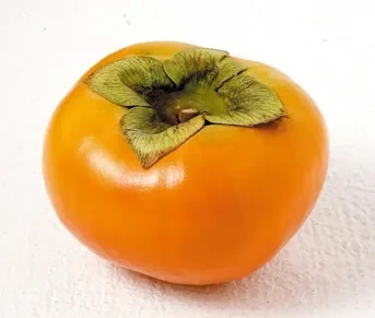 감 이미지