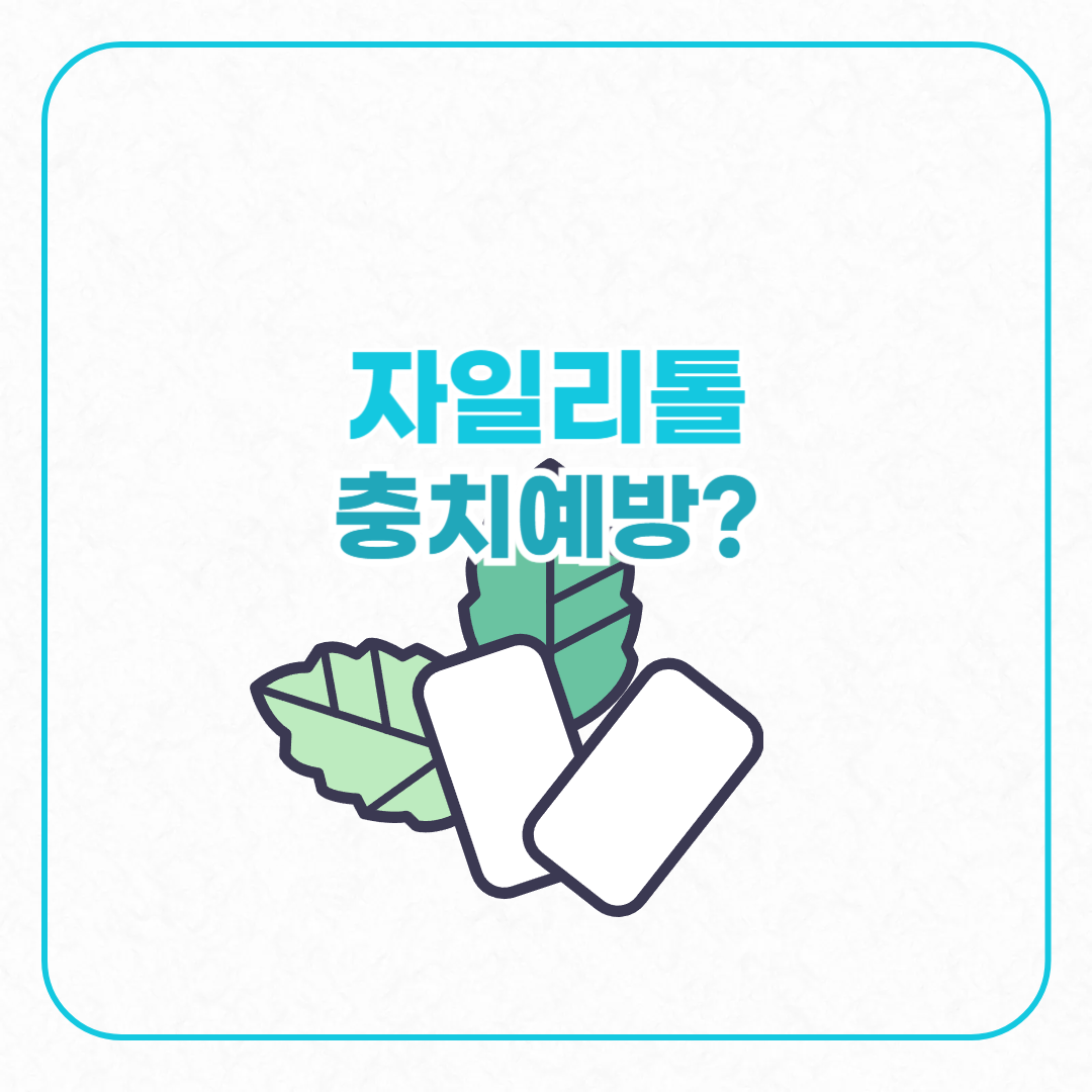 자일리톨충치예방