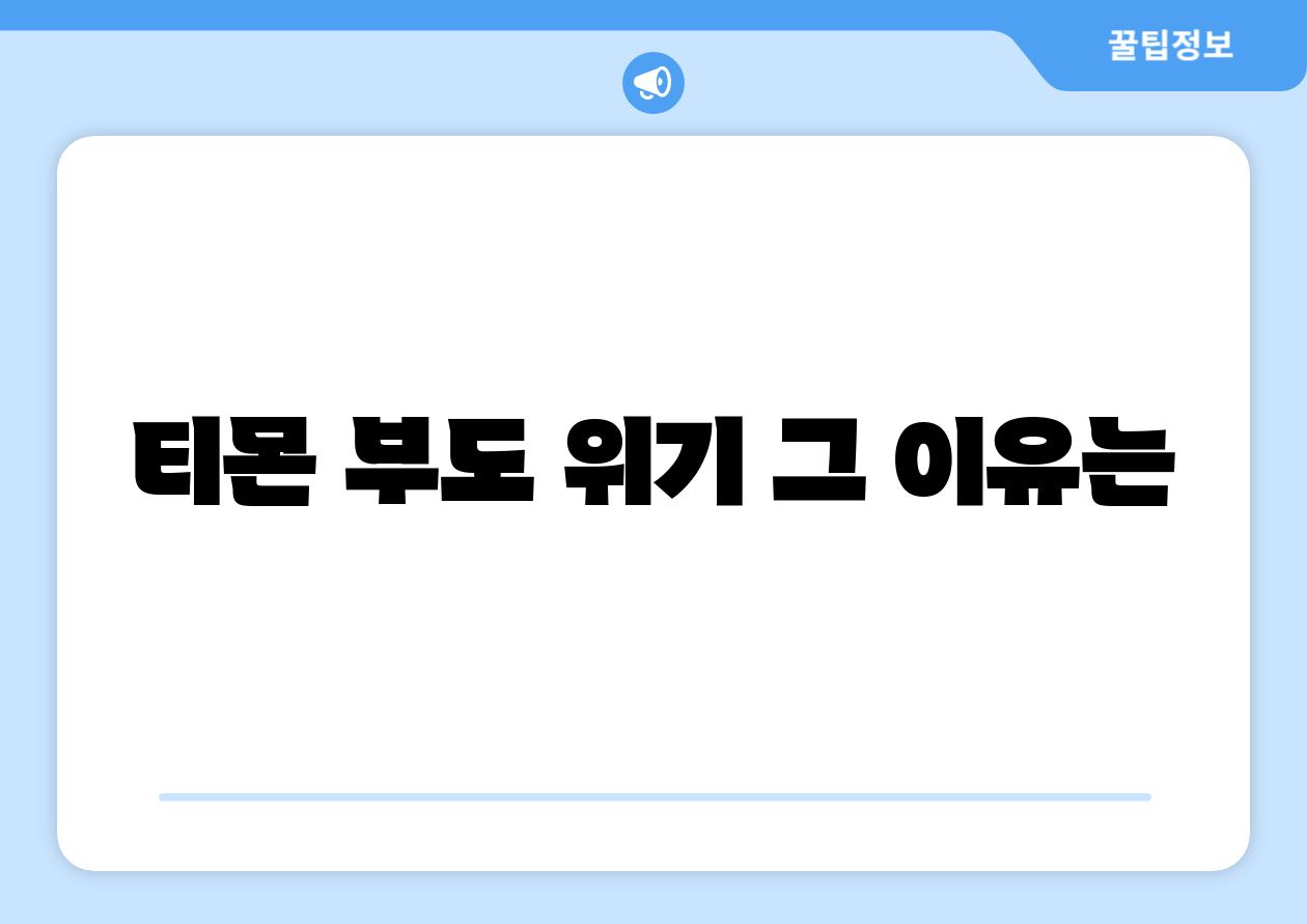 티몬 부도 위기 그 이유는