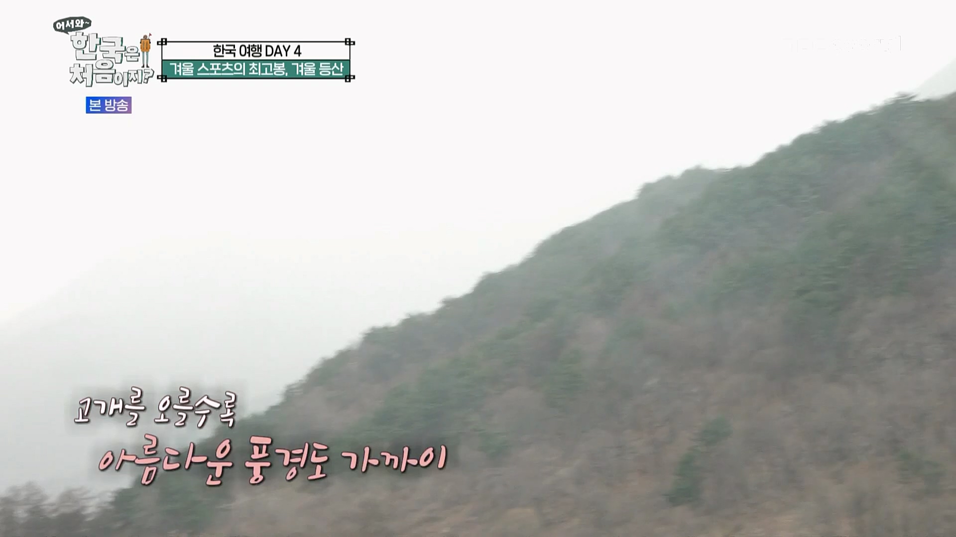 어서와~ 한국은 처음이지.E284.230223p.H264-F1RST.mp4_20230224_205634.773.jpg