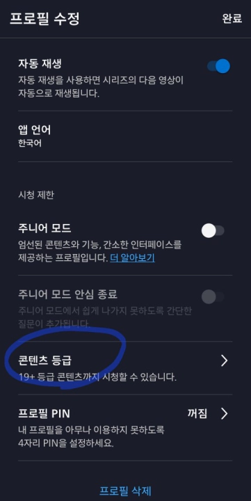 디즈니플러스 성인인증 화면