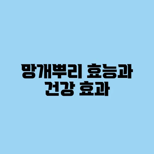망개뿌리 효능과 건강 효과