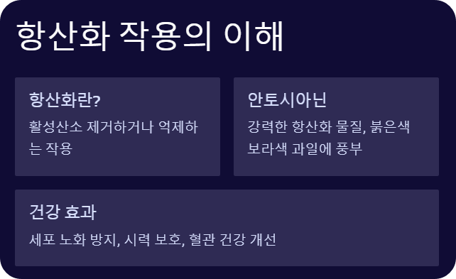 복분자-과일-복분자주-장미과산딸기-안토시아닌함량-복분자남성-복분자정력-마법의열매-효능