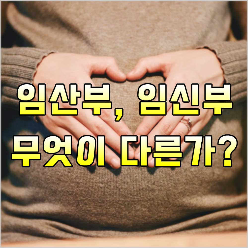 임산부 임신부 차이