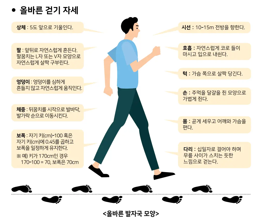 올바른 걷기 자세