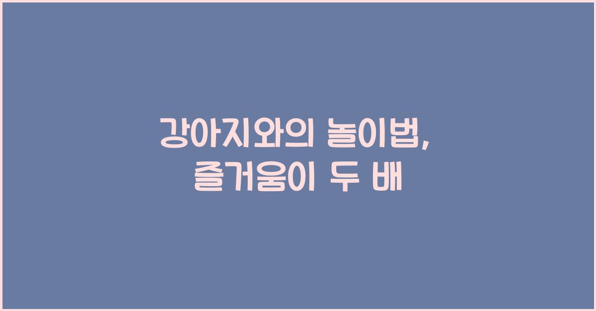 강아지와의 놀이법