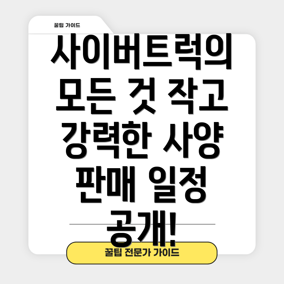 테슬라 사이버트럭