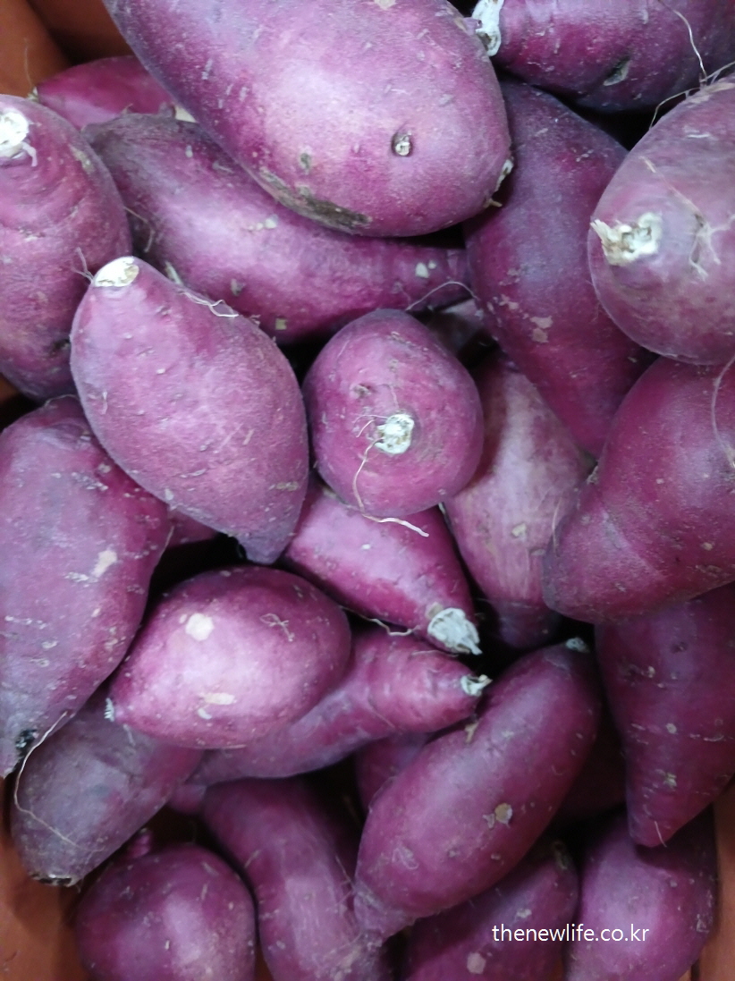 A pile of fresh sweet potatoes, a healthy carbohydrate option for belly fat reduction-신선한 고구마 더미, 뱃살 감소에 도움이 되는 건강한 탄수화물