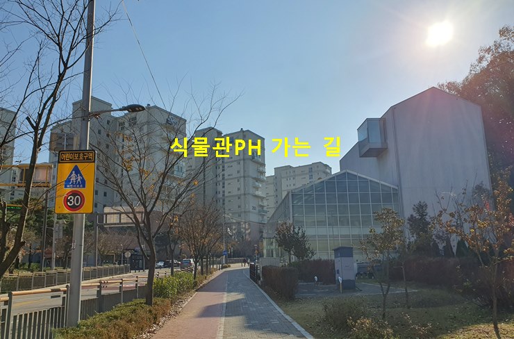 수서카페 식물관PH 가는 길