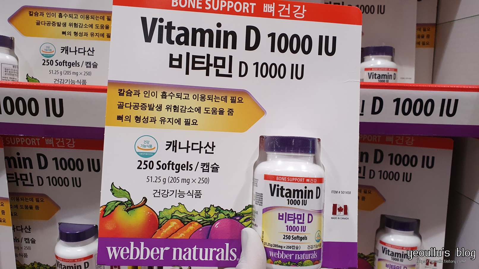  뼈를 튼튼하게 해주는 영양제 웨버 내추럴의 비타민D 추천