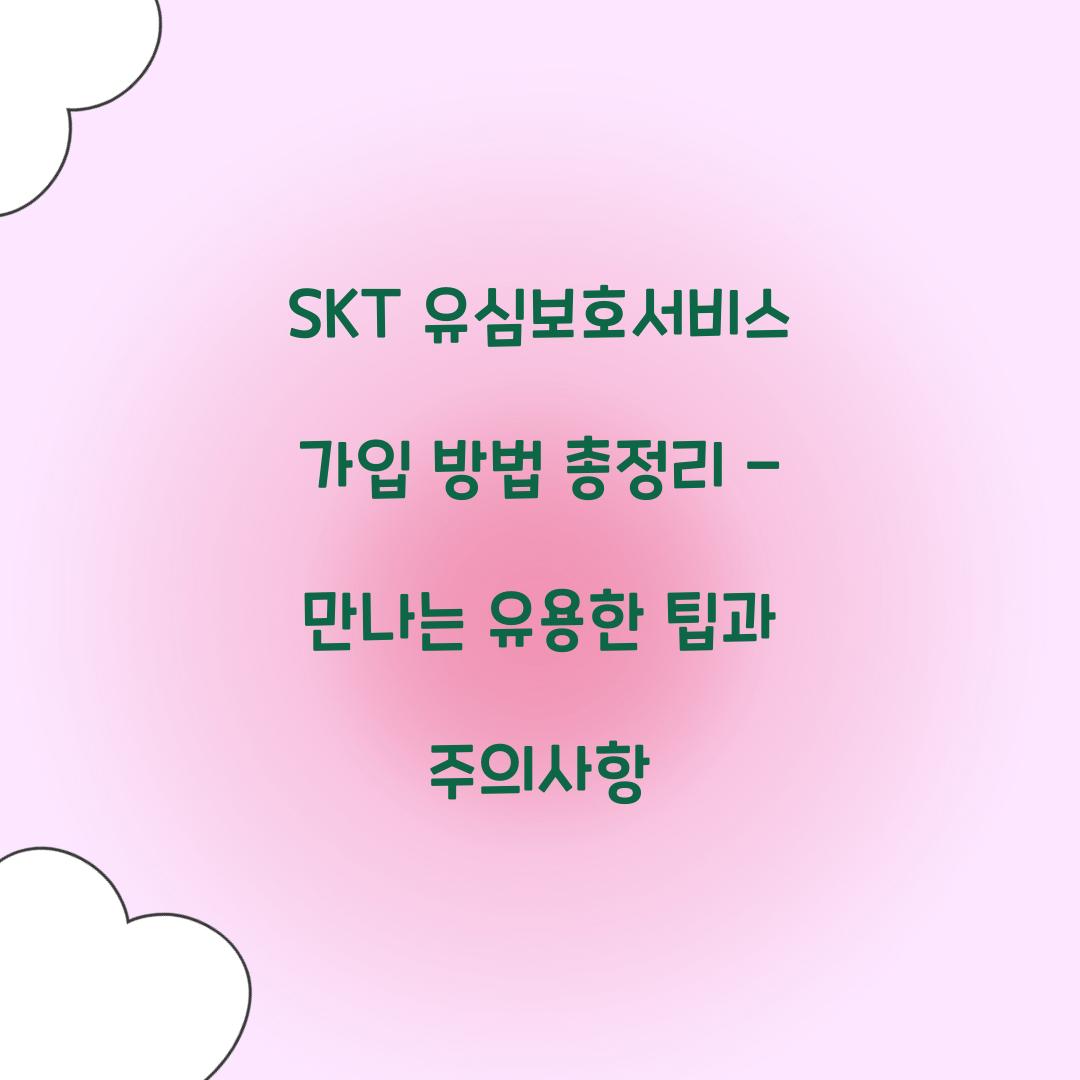 SKT 유심보호서비스 가입 방법 총정리