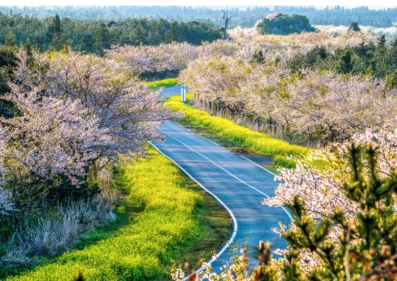 녹산로