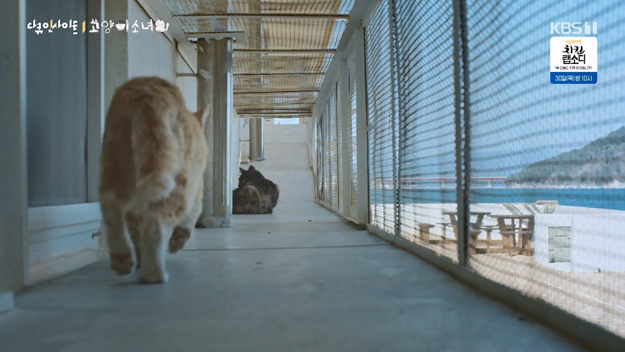 다큐 인사이트.E189.240524p-NEXT.mp4_20240524_205111.897.jpg