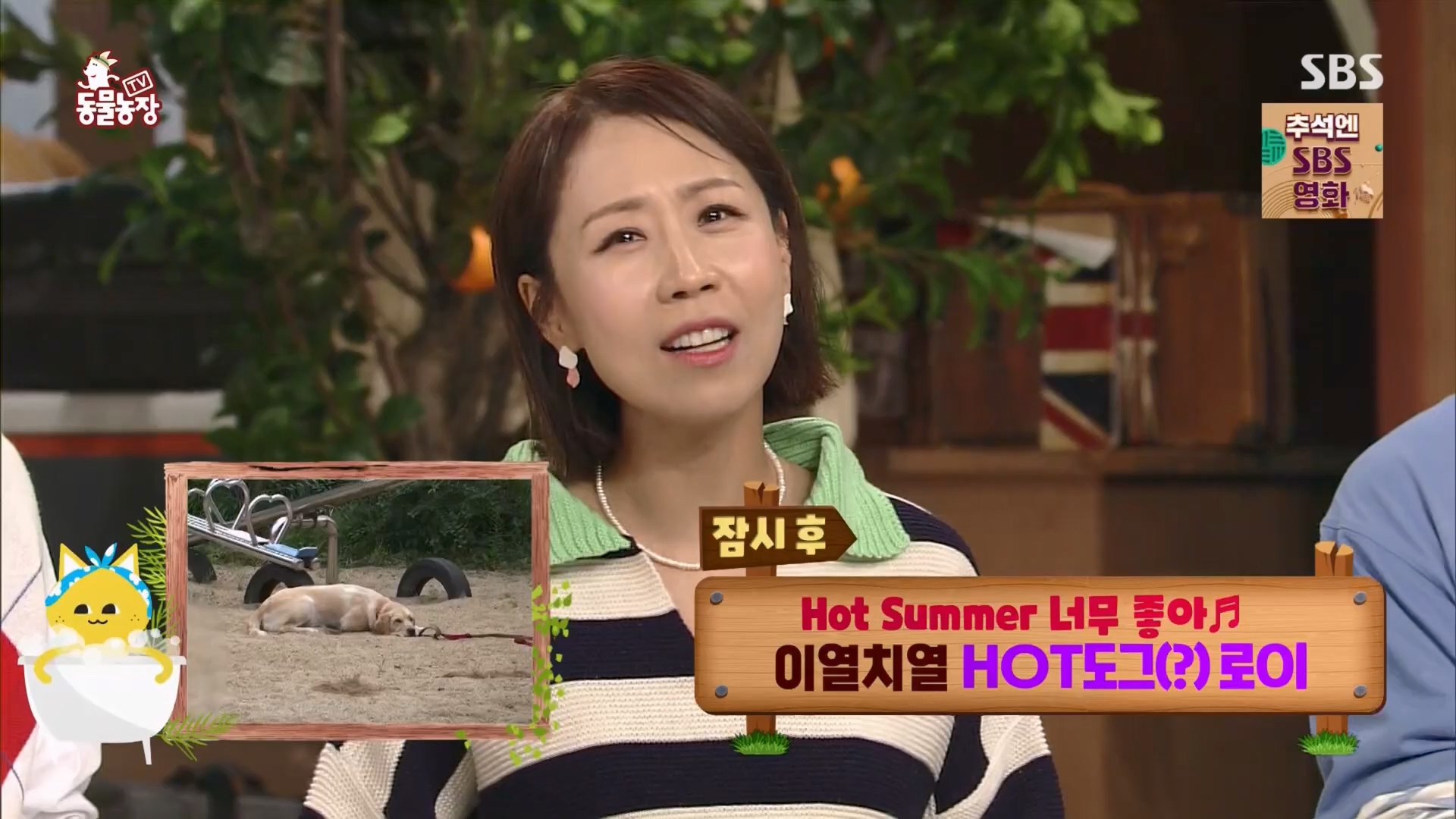 TV 동물농장.E1139.230924p.H264-F1RST.mp4_20230924_172321.633.jpg