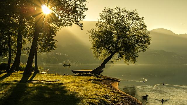 blog-image