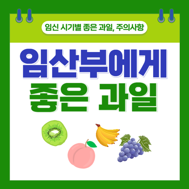  임산부에게 좋은 과일 Best 7(Feat. 임신 시기별 좋은 과일, 주의사항)