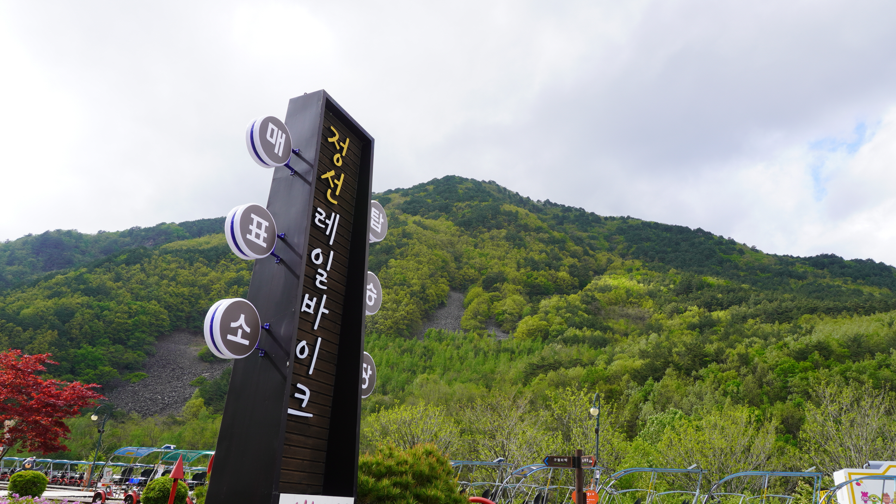 [정선여행] 강원도 정선 가볼만한곳 레일바이크 가족여행 데이트코스 추천