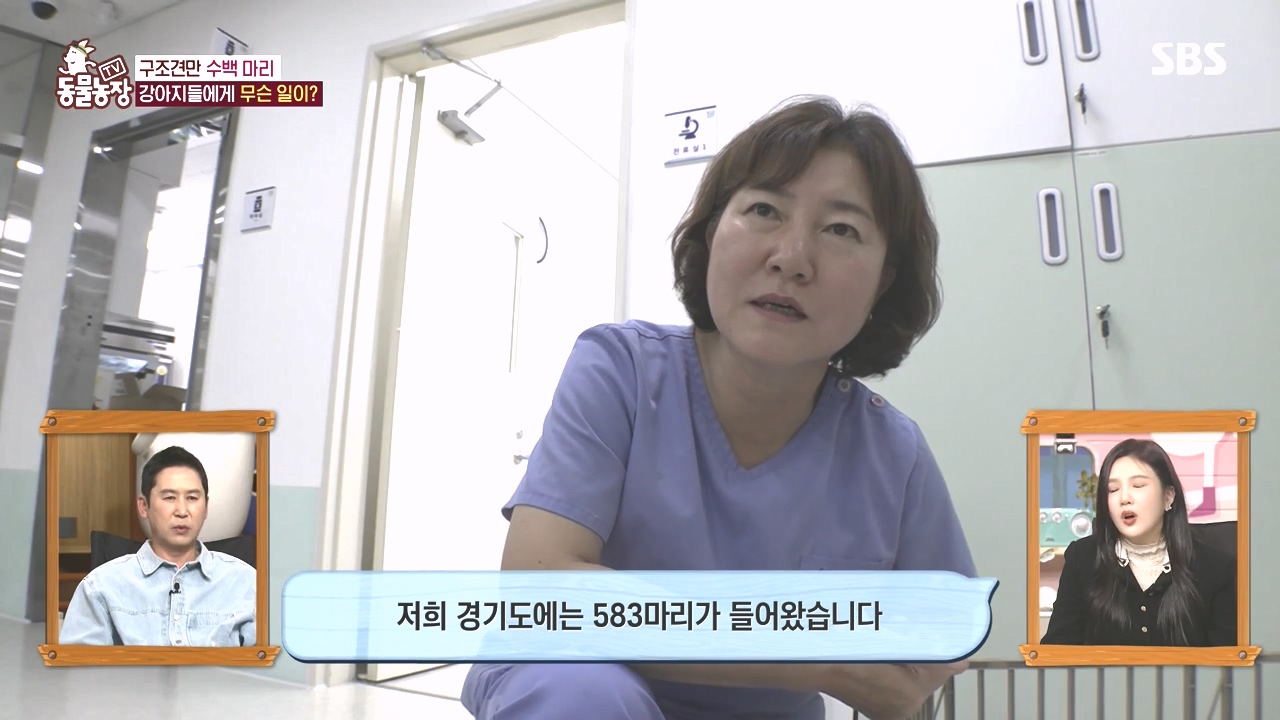 TV 동물농장.E1142.231023p-NEXT.mp4_20231022_171830.842.jpg