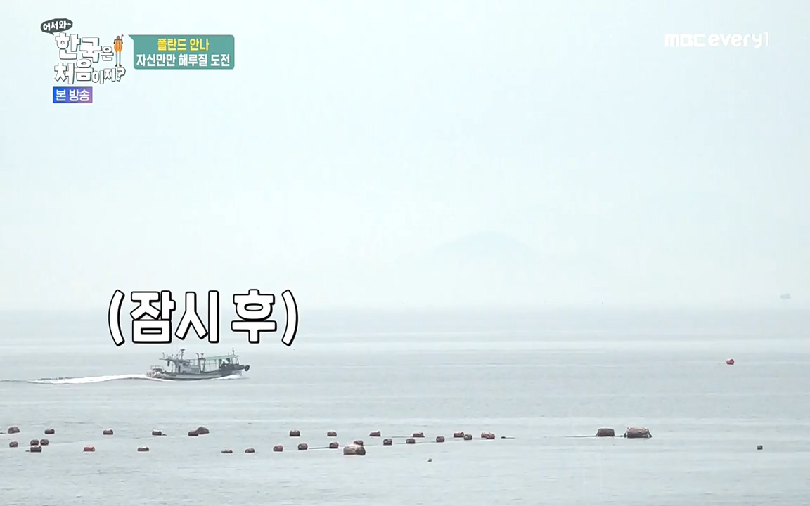 어서와 한국은 처음이지 시즌2.E216.220624p-NEXT.mp4_20220624_203644.993.jpg