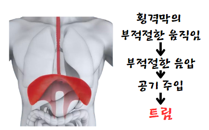 횡격막으로 인한 트림 발생 기전 소개