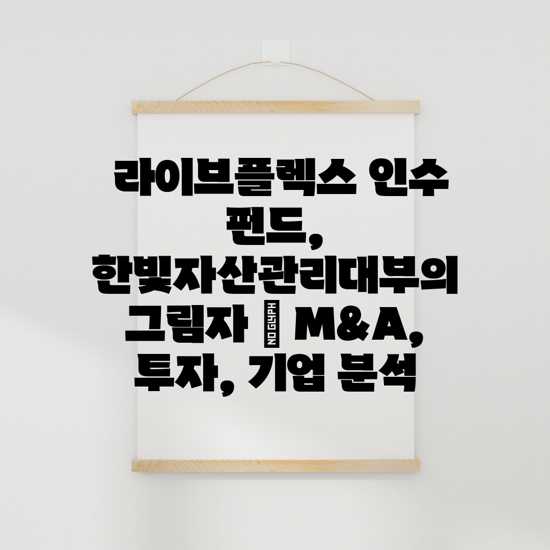  라이브플렉스 인수 펀드, 한빛자산관리대부의 그림자  