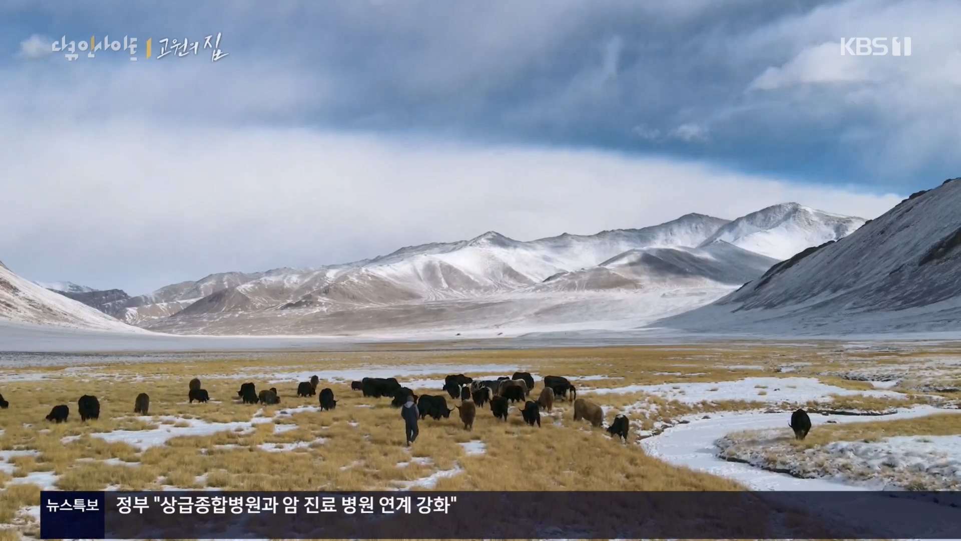 다큐 인사이트.E176.240328p.H264-F1RST.mp4_20240330_162657.002.jpg