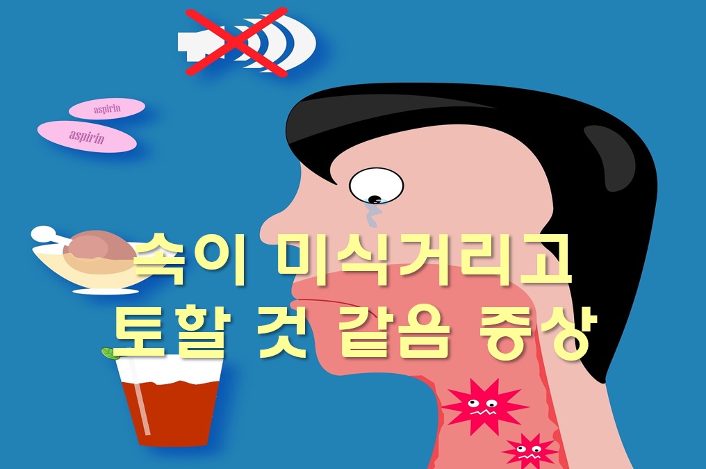  속이 미식거리고 토할 것 같음 증상의 원인