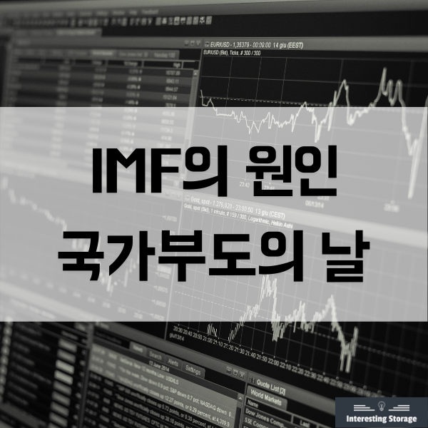  IMF의 원인, 국가부도의 날