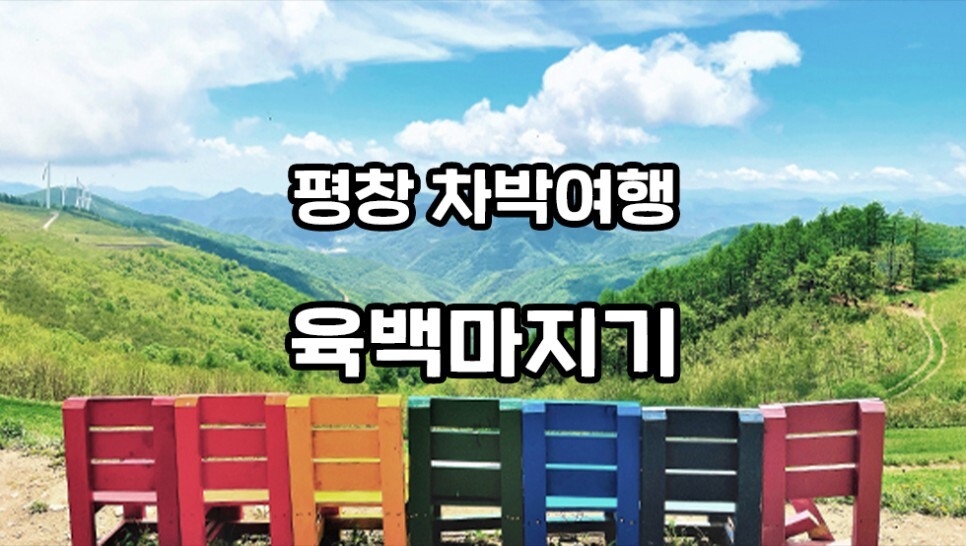 데이지화원 이미지
