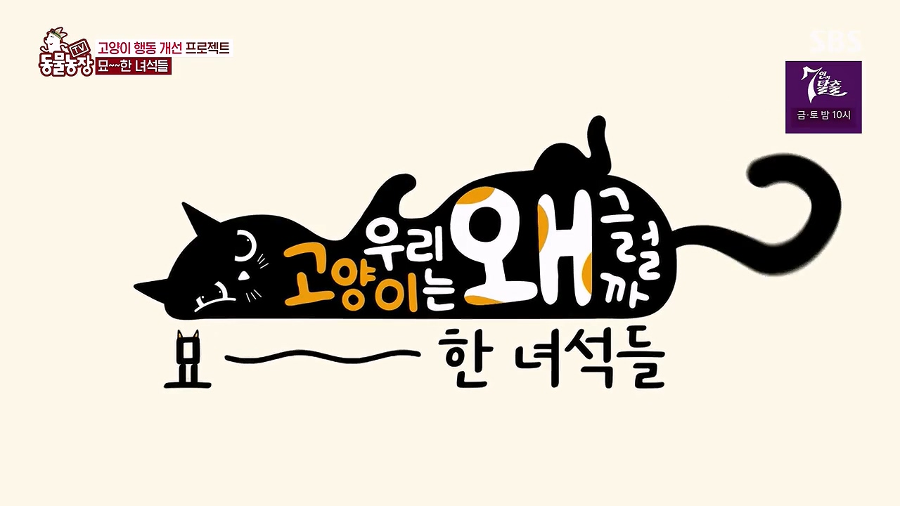 TV 동물농장.E1138.230918p-NEXT.mp4_20230917_172340.319.jpg