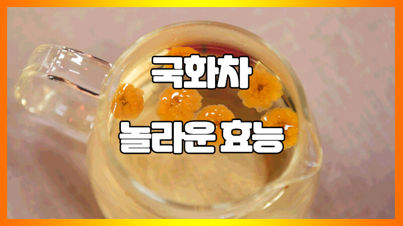  국화차 효능 9가지 및 부작용