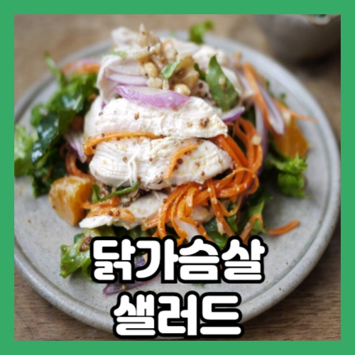 건강한 당근과 닭가슴살 샐러드