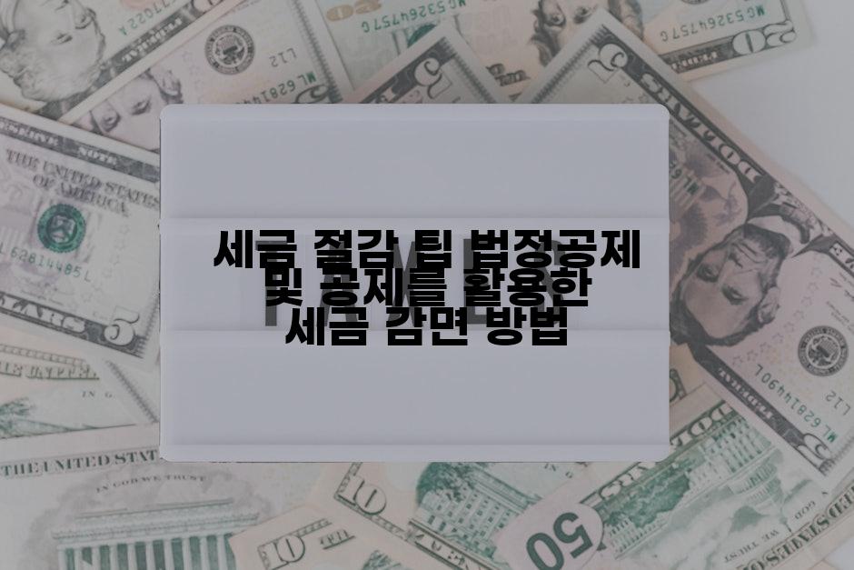 세금 절감 팁 법정공제 및 공제를 활용한 세금 감면 방법